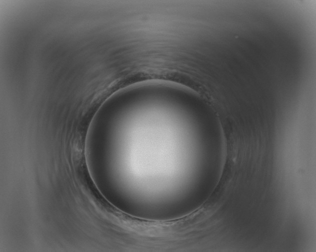 X0000077340040200610271814