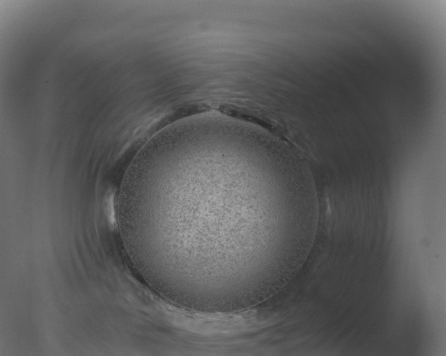 X0000077340042200610271814