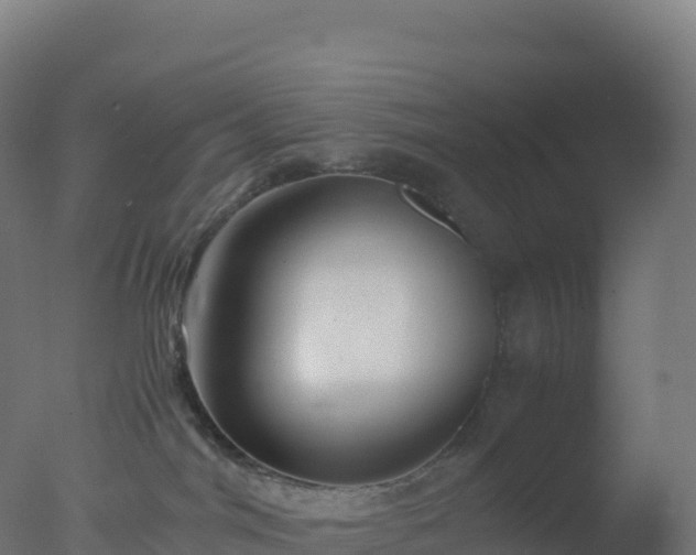 X0000077340044200610271814