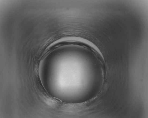 X0000077340045200610271813