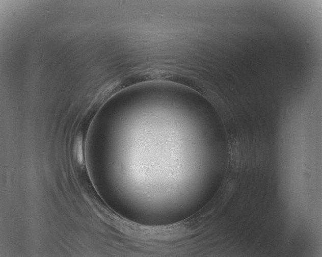 X0000077340046200610271813