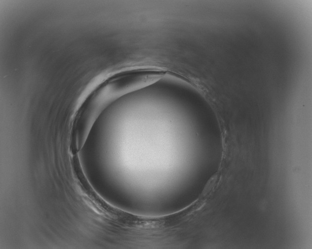 X0000077340056200610271813