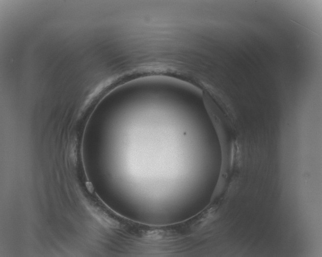 X0000077340064200610271813