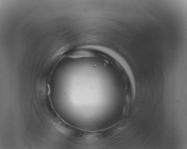 X0000077340072200610271813