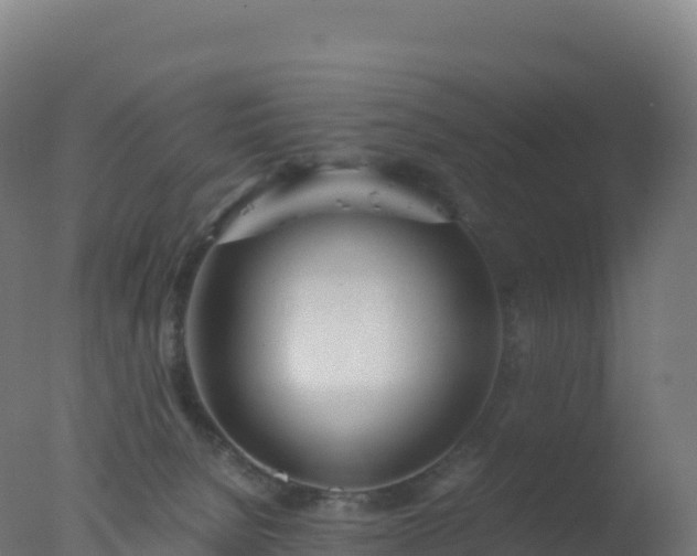 X0000077340080200610271813