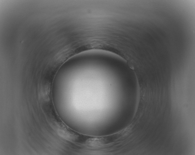 X0000077340082200610271813