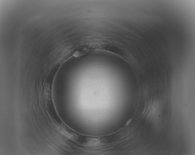 X0000077340083200610271813