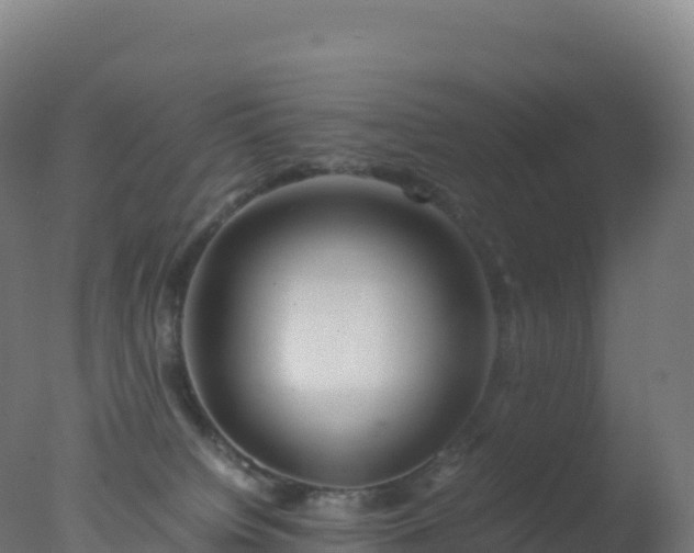 X0000077340084200610271813