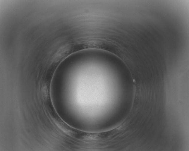 X0000077340086200610271813