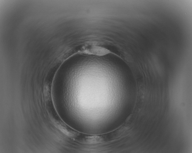 X0000077340087200610271813