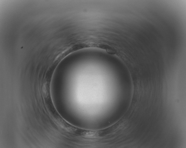 X0000077340088200610271813