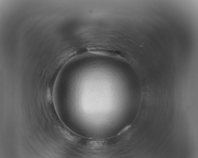 X0000077340089200610271813