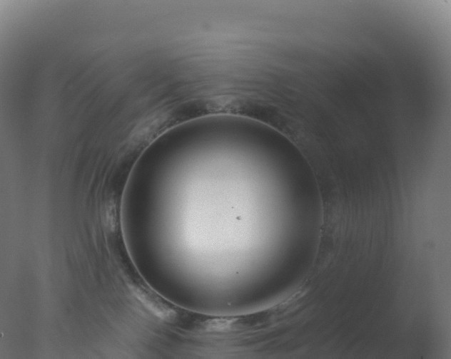 X0000077340090200610271813