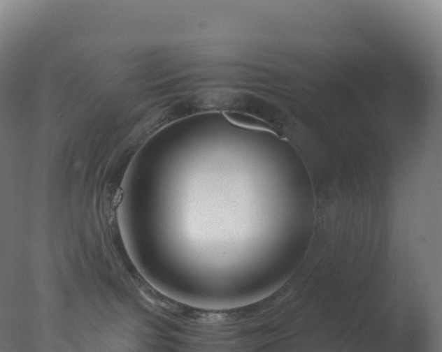 X0000077340091200610271813