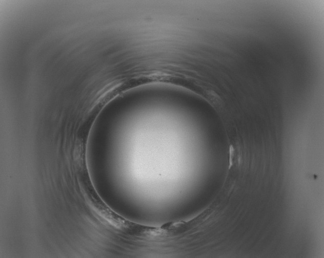 X0000077340092200610271813