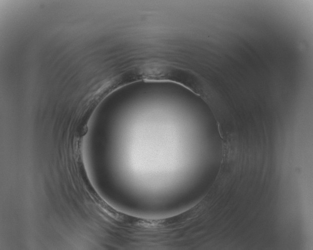 X0000077340093200610271813