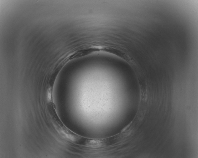 X0000077340095200610271813