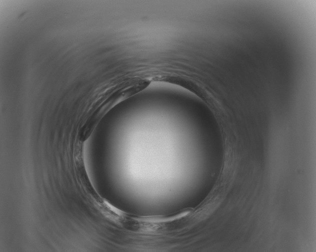 X0000077340096200610271813