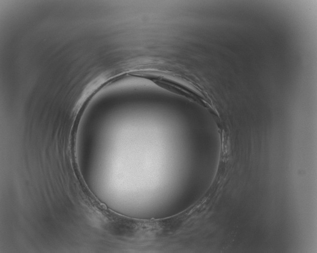 X0000077340099200610271813