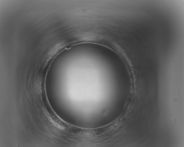 X0000077340106200610271812