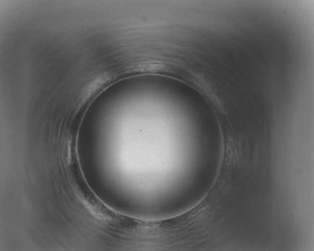 X0000077340110200610271812