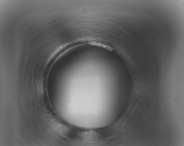 X0000077340112200610271812