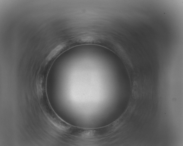 X0000077340116200610271812
