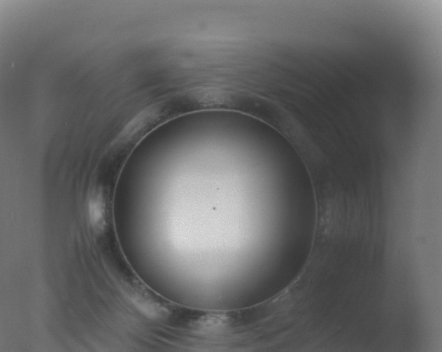 X0000077340124200610271812