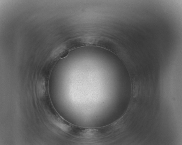 X0000077340128200610271812