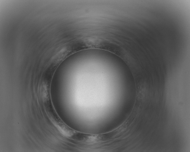 X0000077340130200610271812