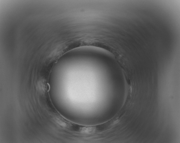 X0000077340135200610271812