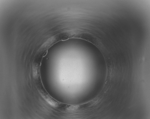 X0000077340138200610271812