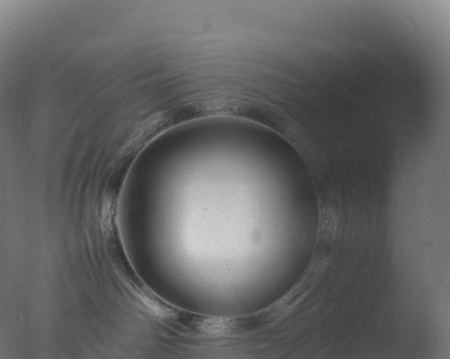 X0000077340142200610271812