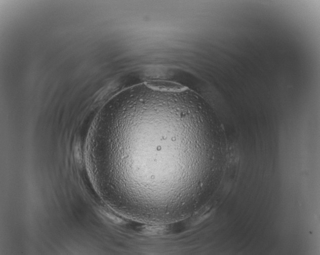 X0000077340143200610271812
