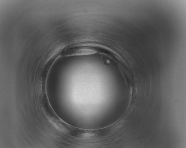 X0000077340158200610271811