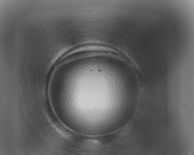 X0000077340159200610271811