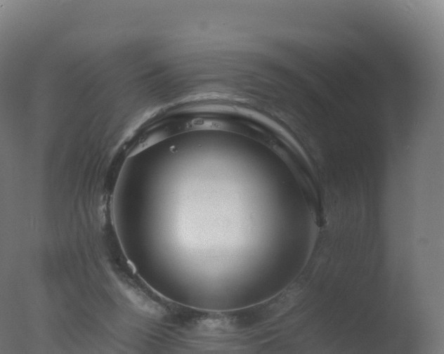 X0000077340160200610271811