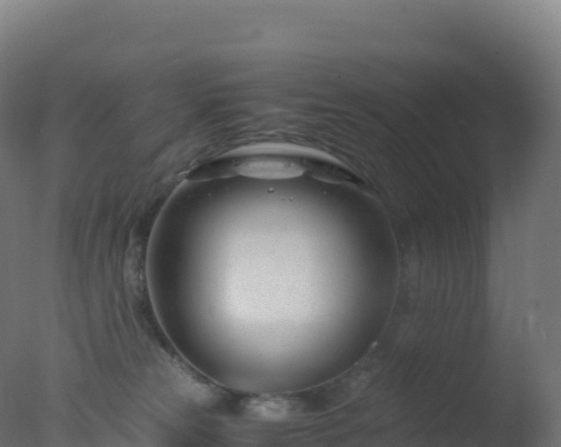 X0000077340181200610271812