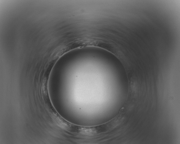 X0000077340185200610271812