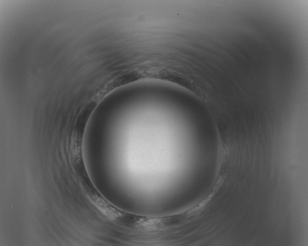 X0000077340186200610271812