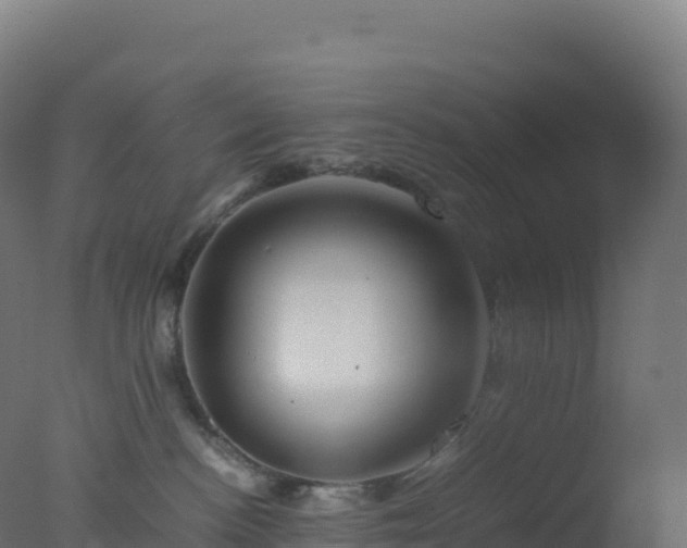 X0000077340188200610271812