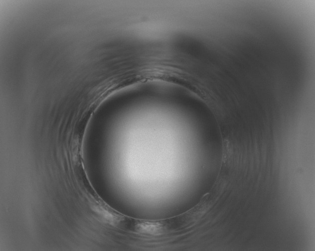 X0000077340189200610271812