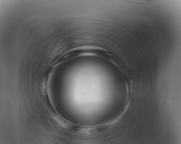 X0000077340190200610271812