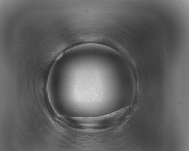 X0000077340201200610271811