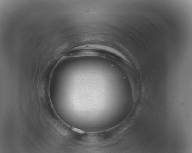 X0000077340209200610271811
