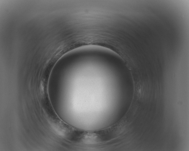 X0000077340214200610271811