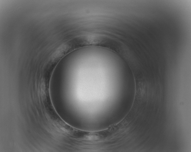 X0000077340220200610271811
