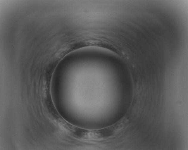 X0000077340223200610271810