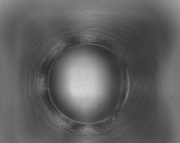X0000077340224200610271810