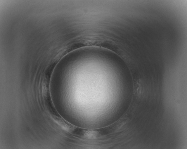 X0000077340226200610271810